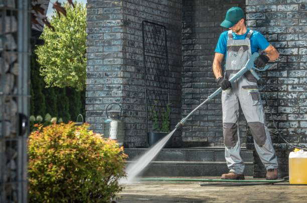 Best Animal Enclosure Cleaning  in Niwot, CO